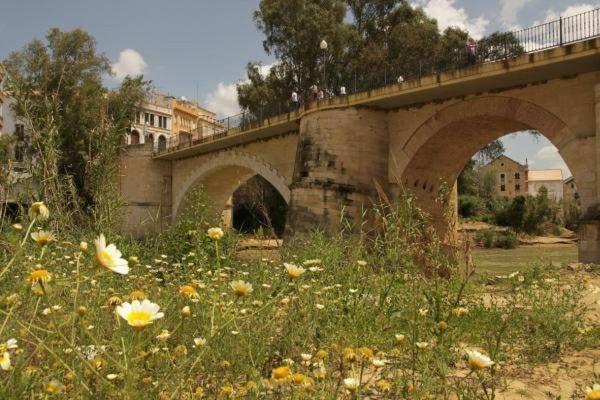 Appartamento El Rincon De Don Gonzalo Puente Genil Esterno foto